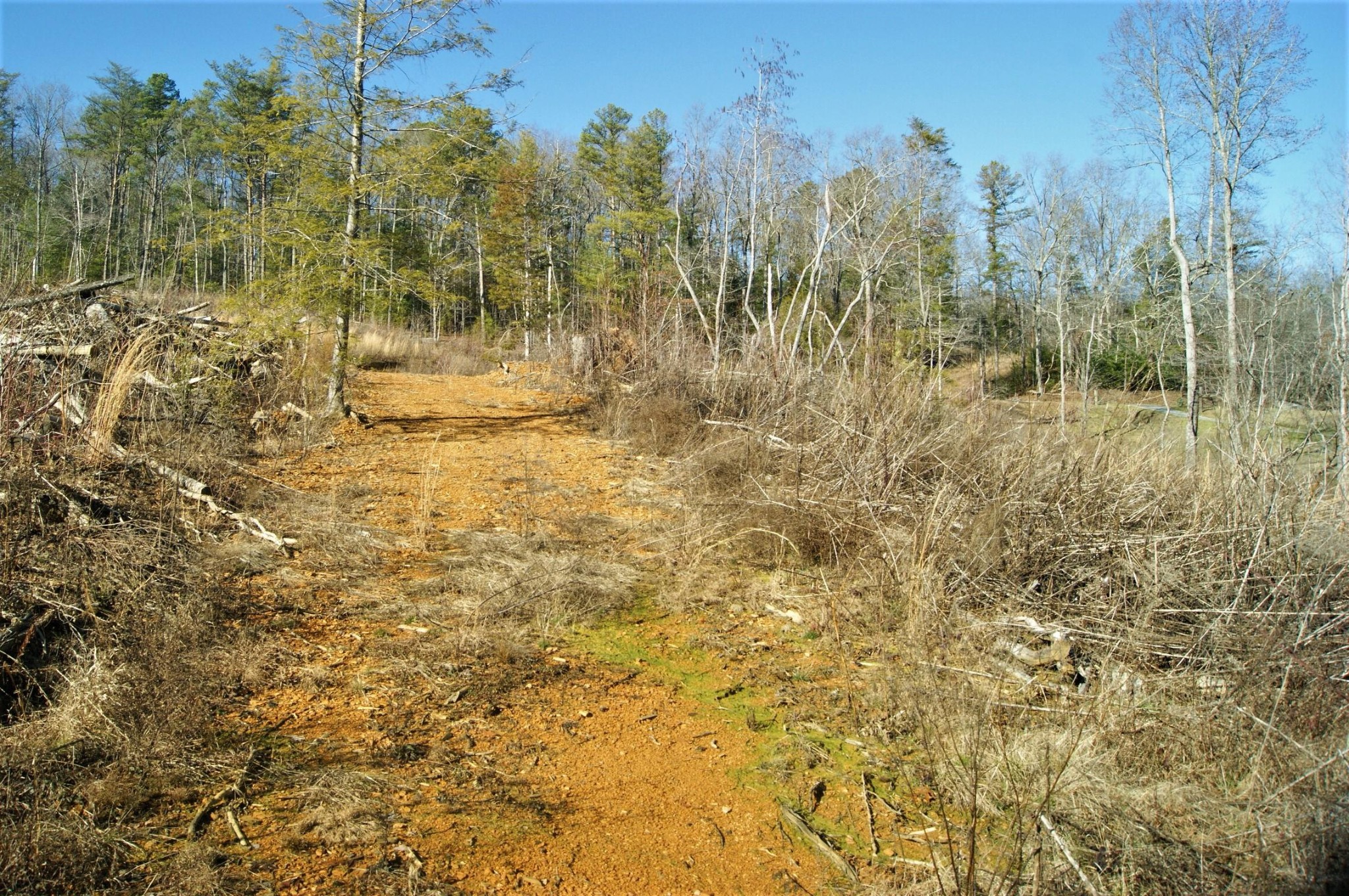 0 12 Acres Pond Ridge Road Tellico Plains, TN 37385 - Photo 10 of 24 Gallery Image 10