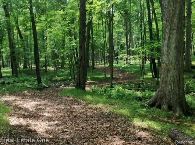 4228 Hough Road Dryden, MI 48428 - Photo 3 of 24 3 Woods.jpg