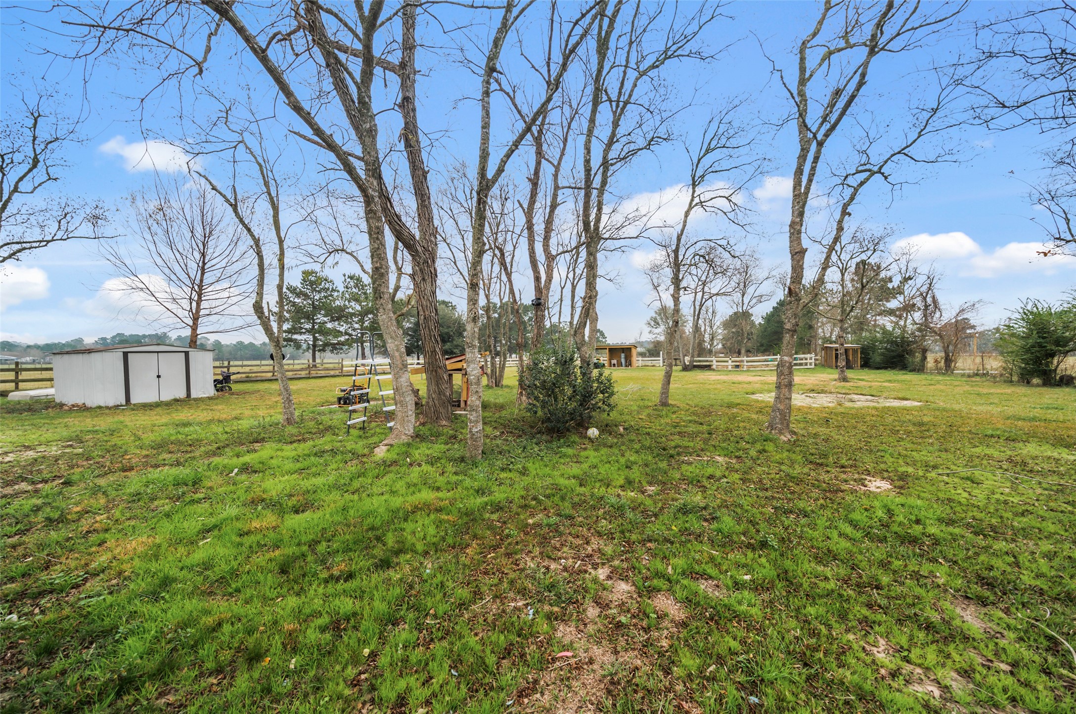 234 County Road 2286 Cleveland, TX 77327 - Photo 30 of 35 Many outbuildings and cross fencing.