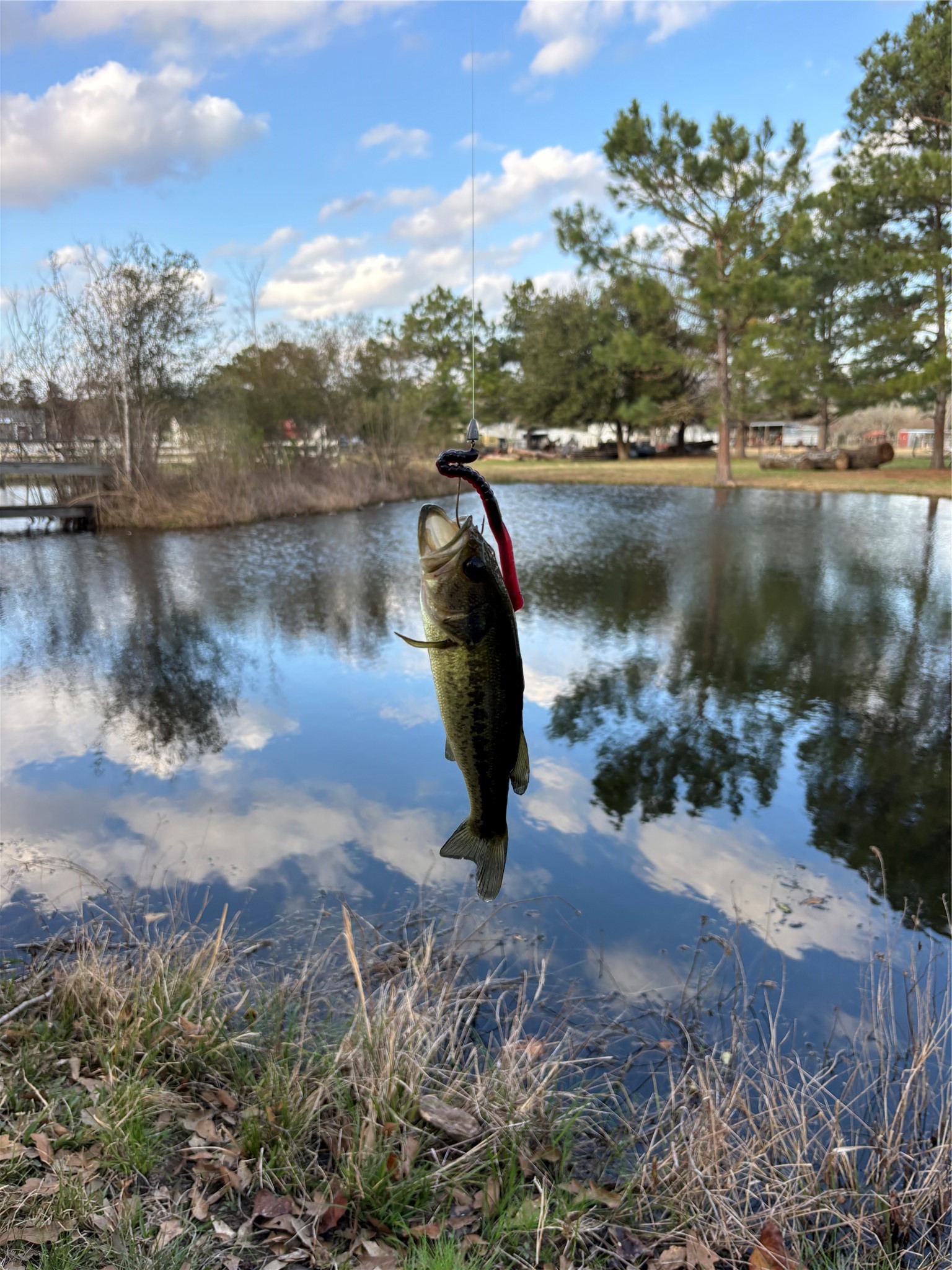 234 County Road 2286 Cleveland, TX 77327 - Photo 34 of 35