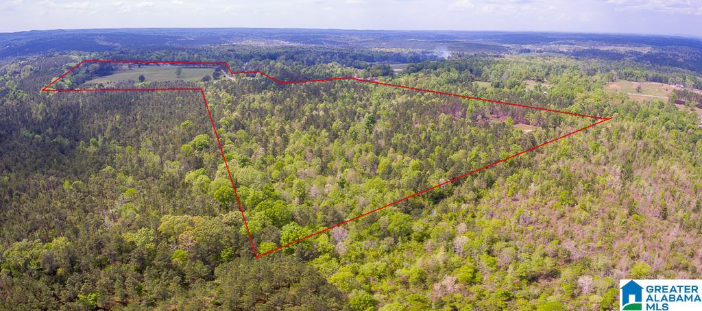 1210 County Road 61 Clanton, AL 35046 - Photo 50 of 50
