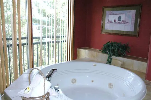 $395,000 | 350 East Hiawatha Drive, Unit 327, Lake Delton, WI 53965