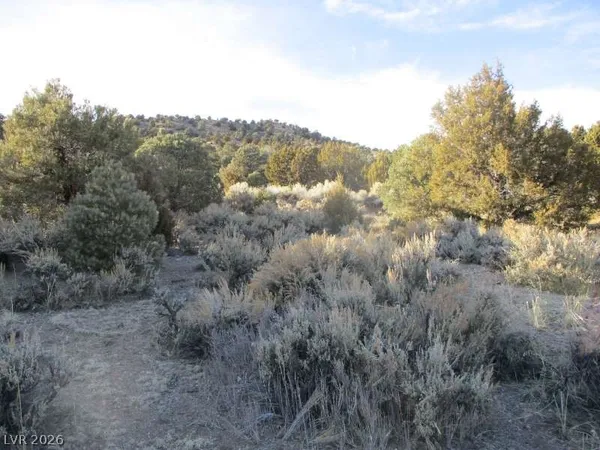 $753,750 | 322 (30.15 Ac), Pioche, NV 89043