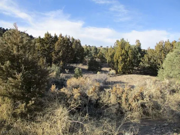 $753,750 | 322 (30.15 Ac), Pioche, NV 89043