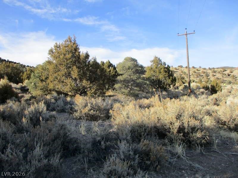 322 (30.15 Ac) Pioche, NV 89043 - Photo 2 of 13 View of undeveloped land