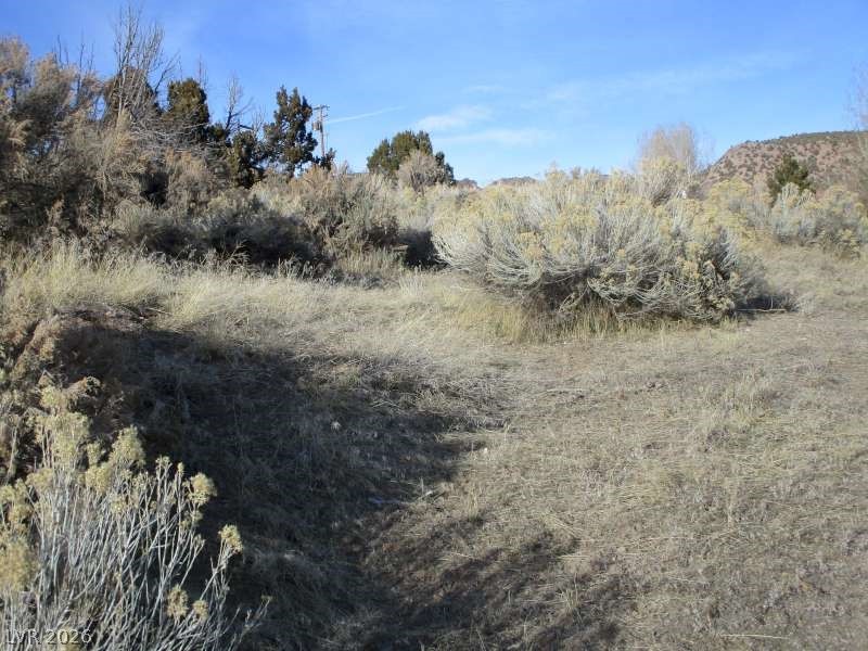 322 (30.15 Ac) Pioche, NV 89043 - Photo 3 of 13 View of nature