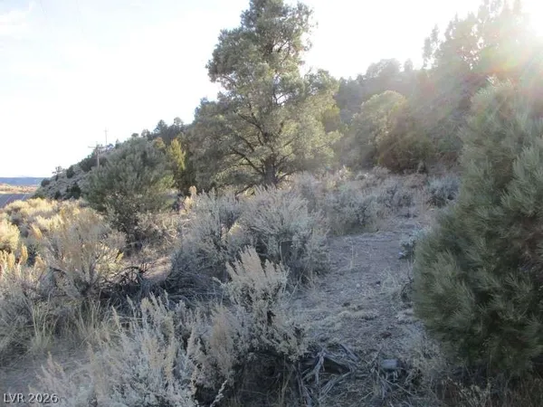 $753,750 | 322 (30.15 Ac), Pioche, NV 89043