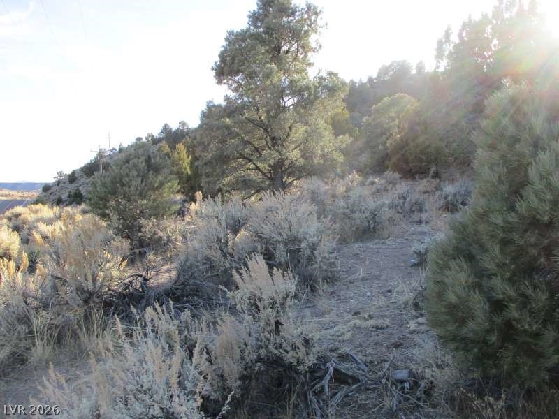 322 (30.15 Ac) Pioche, NV 89043 - Photo 4 of 13 View of undeveloped land