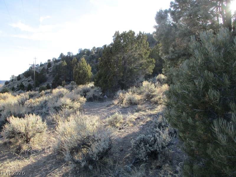 322 (30.15 Ac) Pioche, NV 89043 - Photo 5 of 13 View of nature