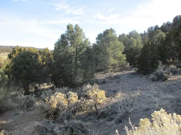 $753,750 | 322 (30.15 Ac), Pioche, NV 89043