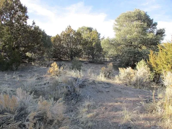 $753,750 | 322 (30.15 Ac), Pioche, NV 89043