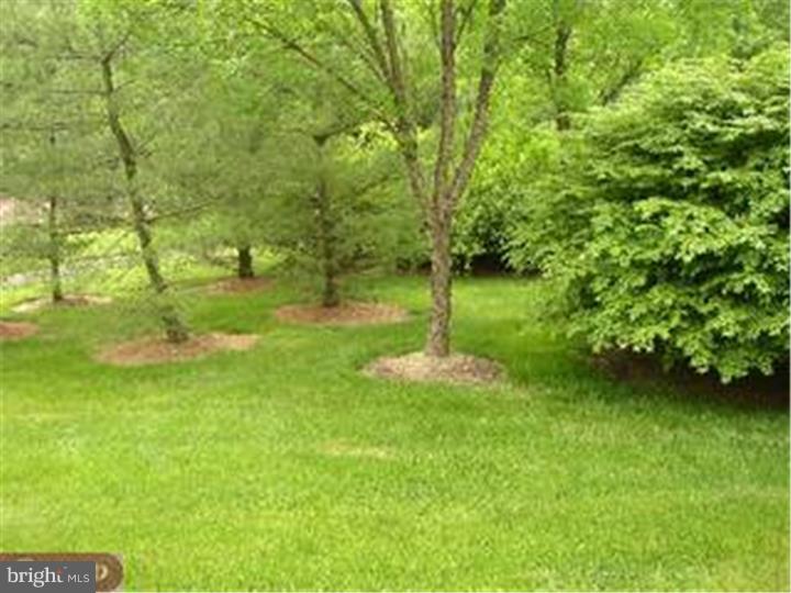 40 Trafalgar Road, Unit 24 Doylestown, PA 18901 - Photo 15 of 16 View in Back