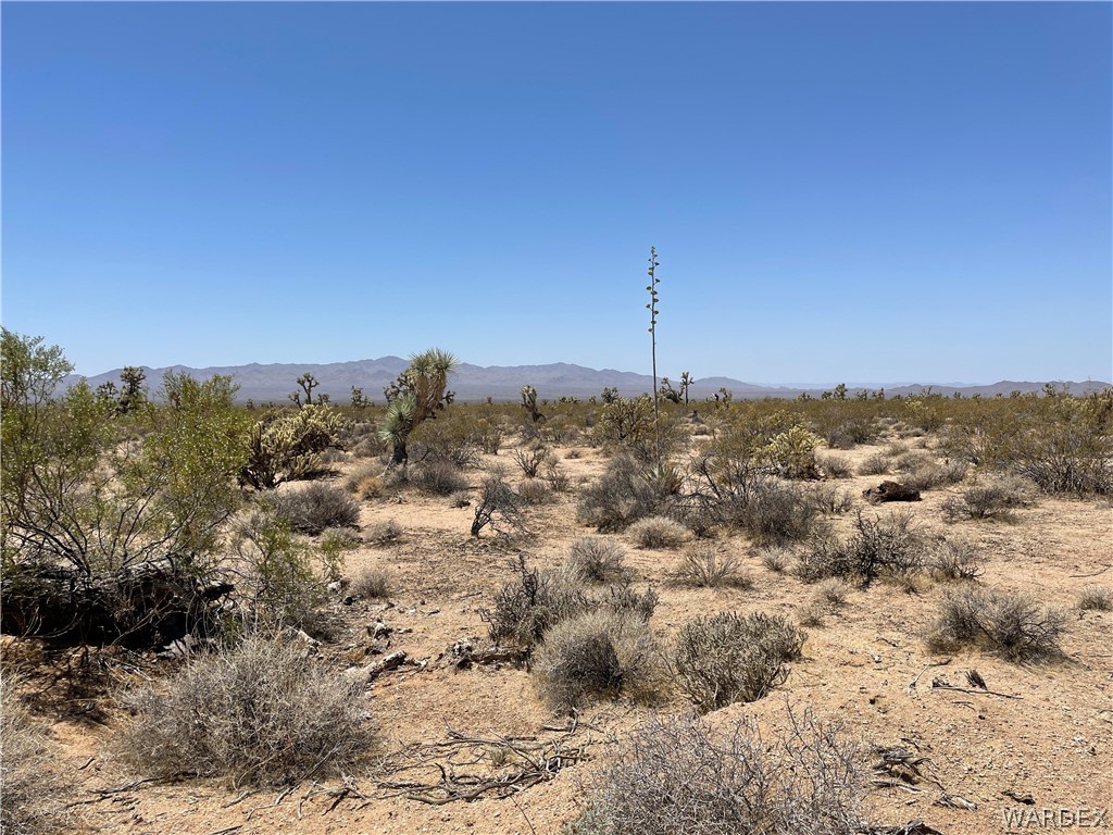 2571 South Kit Carson Road Yucca, AZ 86438 - Photo 1 of 3 Gallery Image 1