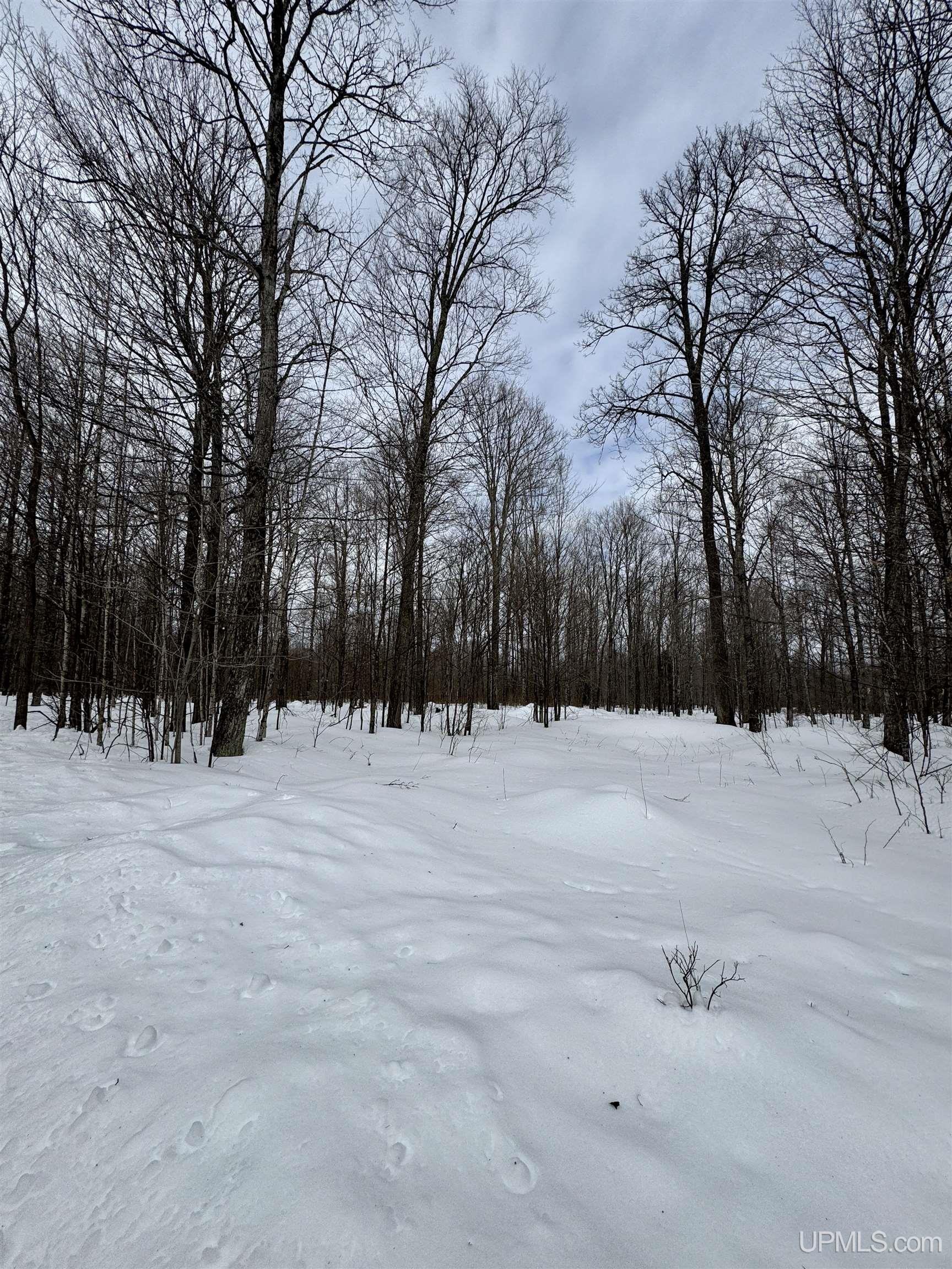 Tbd Off North Road Perkins, MI 49872 - Photo 20 of 48 Gallery Image 20