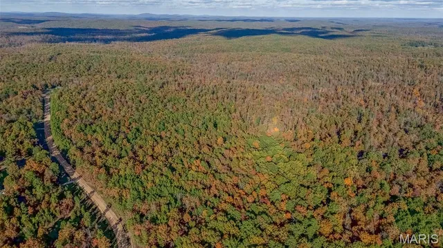 $529,900 | 1790 Carter 327, Ellsinore, MO 63937