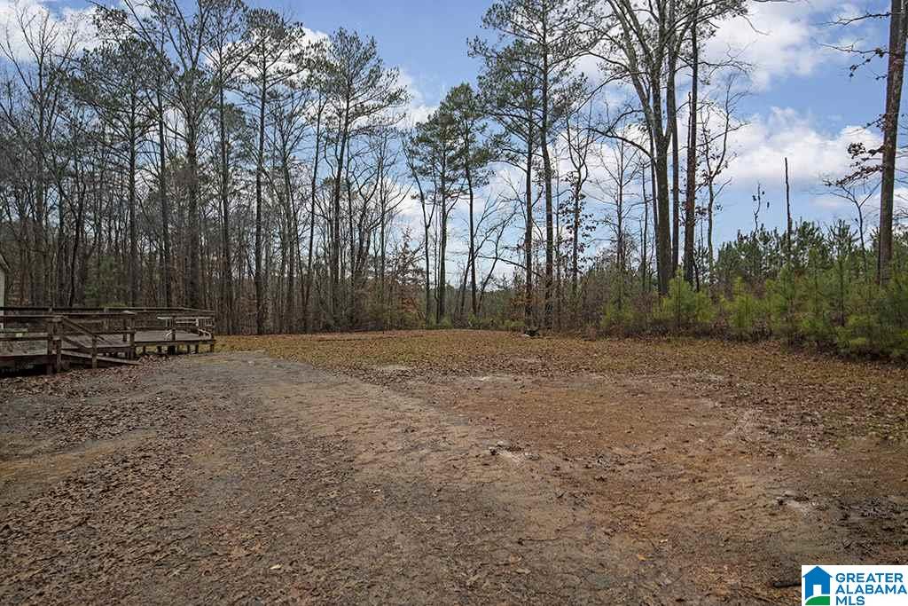 9316 Cedar Hill Road Warrior, AL 35180 - Photo 4 of 27