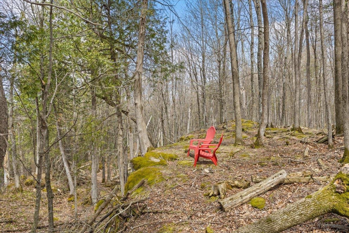 0 Bullock Road, Unit LOT #1 Milton, VT 05468 - Photo 24 of 49 Gallery Image 24