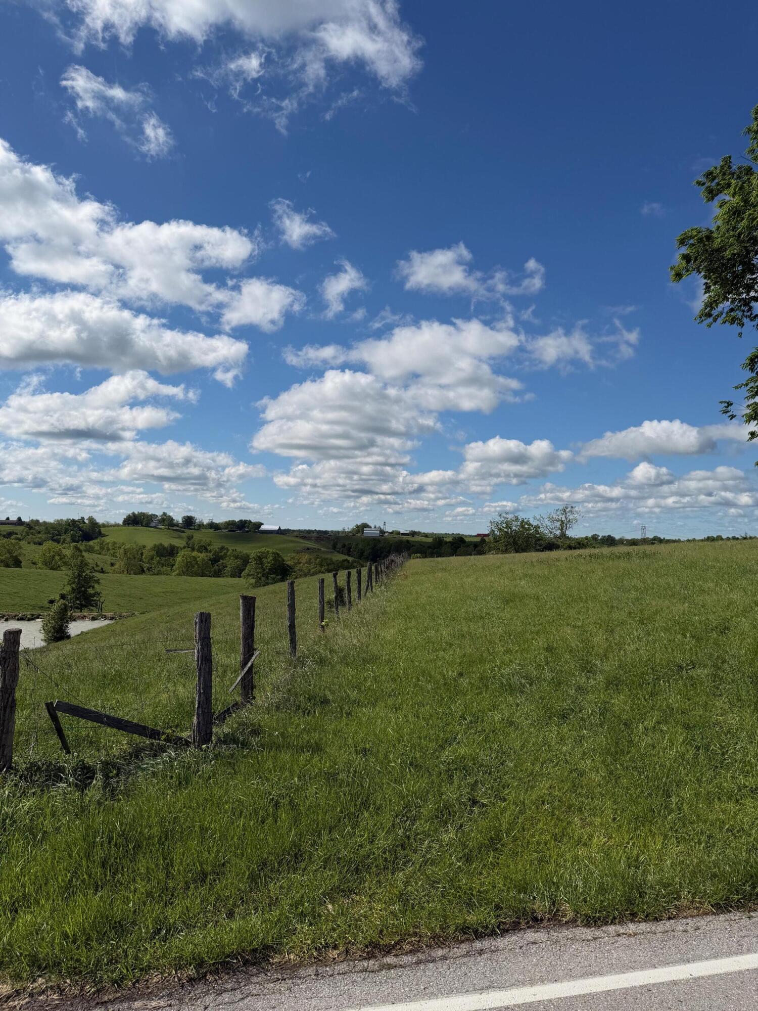 6.93-ac Chipman Ridge Road Williamstown, KY 41097 - Photo 4 of 10