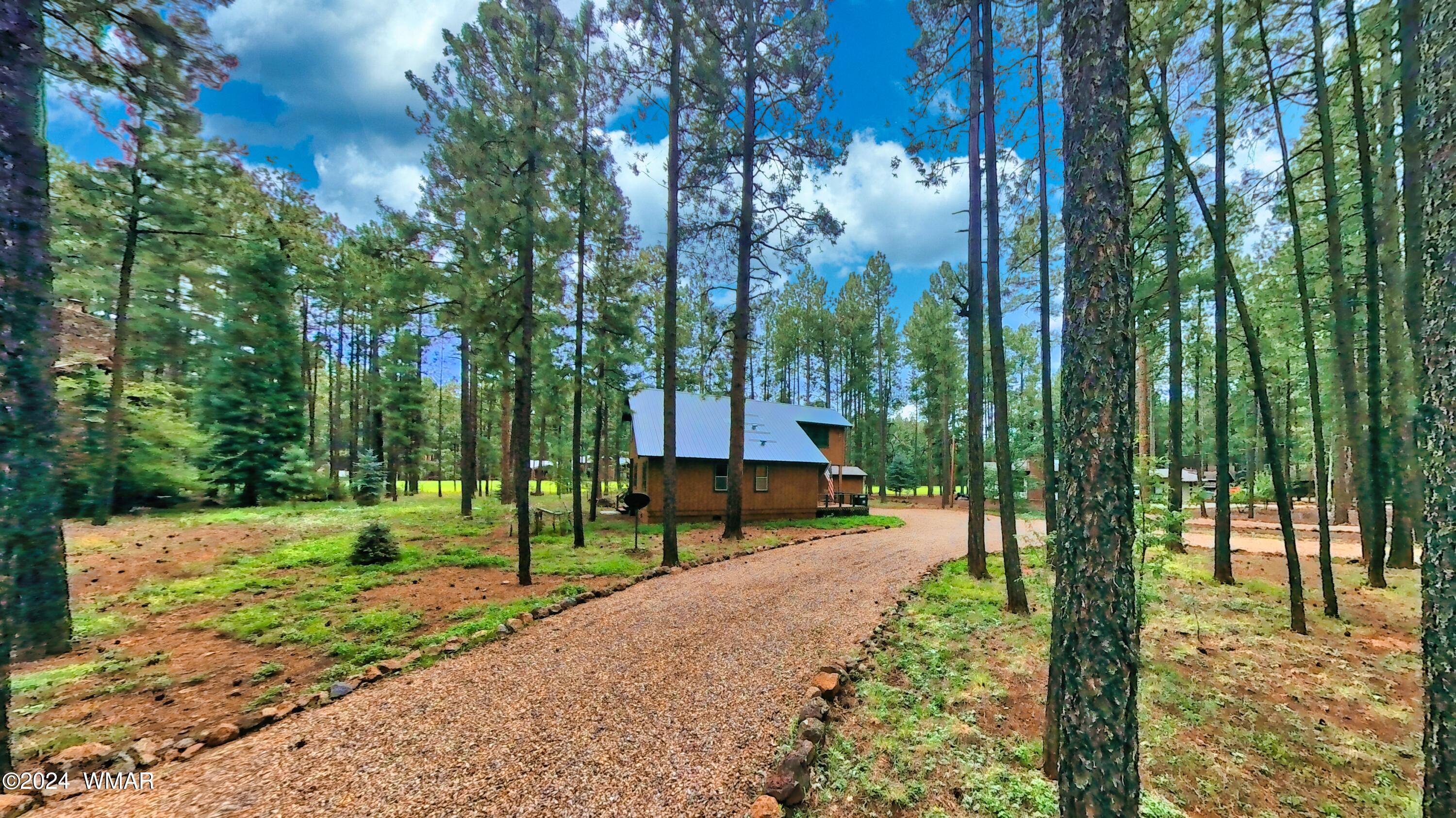 2839 Aspen Road Pinetop, AZ 85935 - Photo 39 of 40 IMG_20240827_143451_00_042