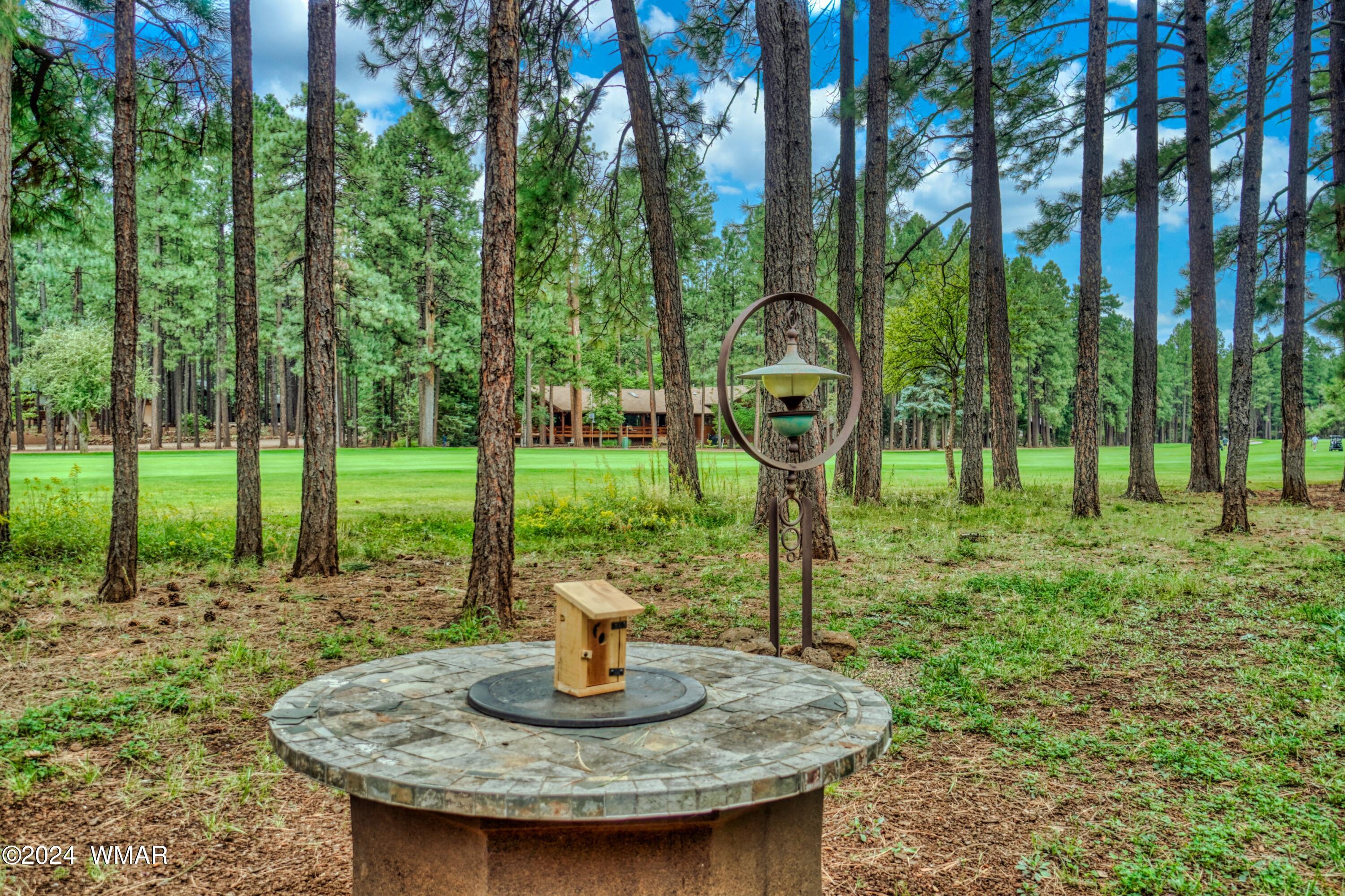 2839 Aspen Road Pinetop, AZ 85935 - Photo 10 of 40 10