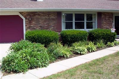2287 Redfield Street Niles, MI 49120 - Photo 5 of 5 Additional Photo
