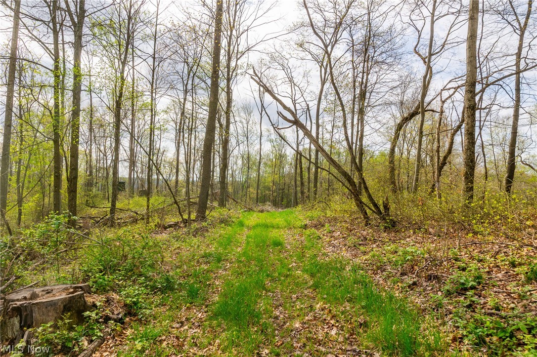 2115 Goss Fork Road, Unit 2 Whipple, OH 45788 - Photo 3 of 23