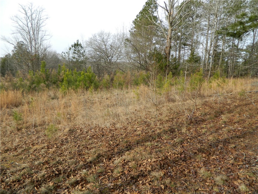 216 Southern Road Belton, SC 29627 - Photo 1 of 6 Gallery Image 1