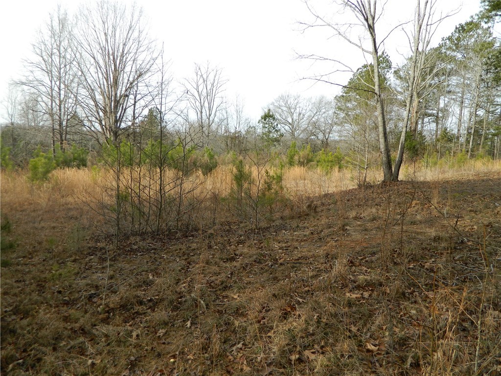 216 Southern Road Belton, SC 29627 - Photo 3 of 6 Gallery Image 3