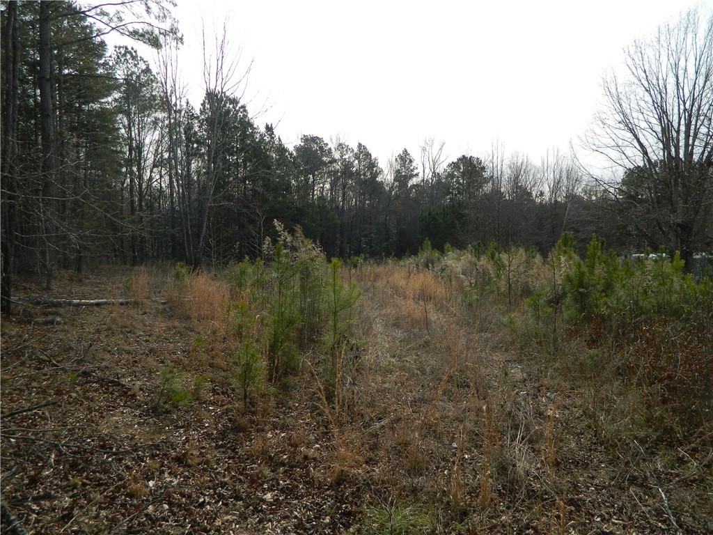 216 Southern Road Belton, SC 29627 - Photo 5 of 6 Gallery Image 5