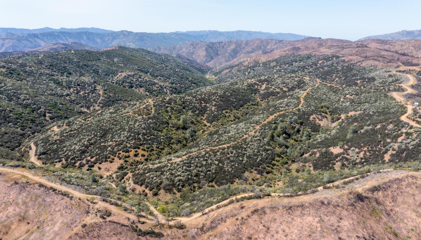 a view of a lush green hillside and a houses
