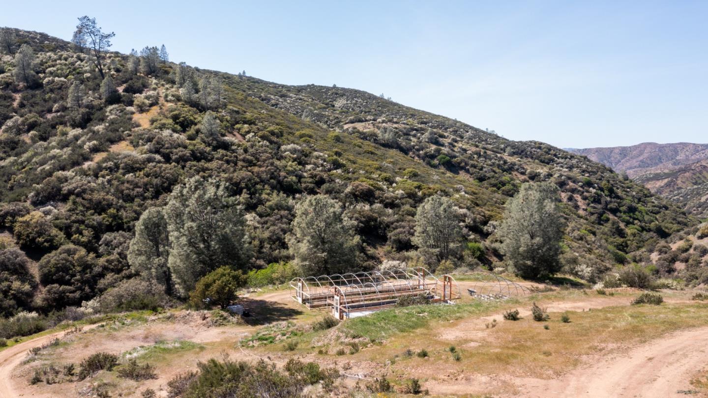 51541 Mines Road Livermore, CA 94550 - Photo 19 of 40 a view of a dry yard with trees