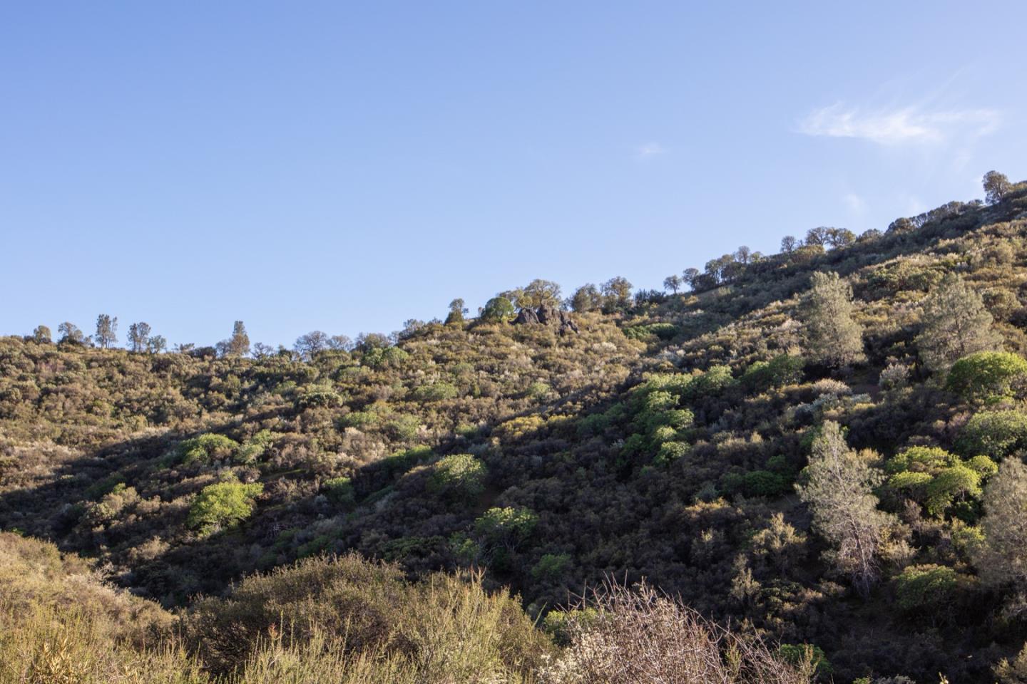 51541 Mines Road Livermore, CA 94550 - Photo 22 of 40 a view of a building