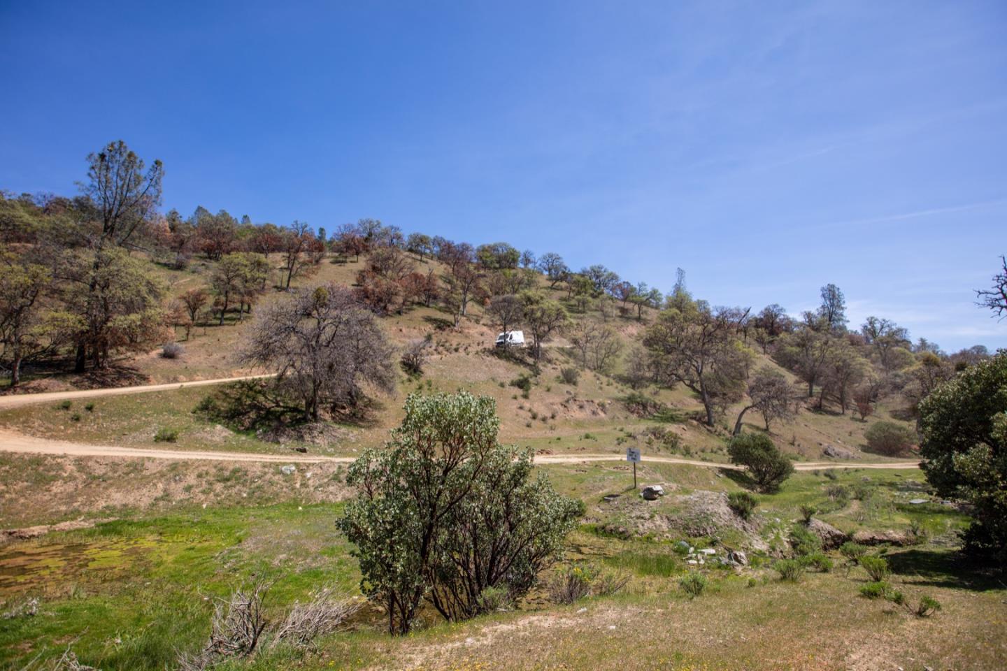 51541 Mines Road Livermore, CA 94550 - Photo 7 of 40 a view of a yard with large trees