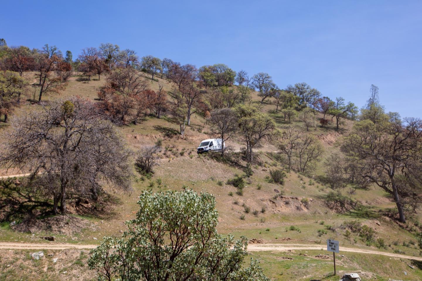 51541 Mines Road Livermore, CA 94550 - Photo 8 of 40 a view of a yard with a tree