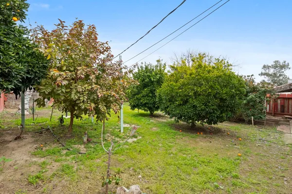 a view of backyard with green space