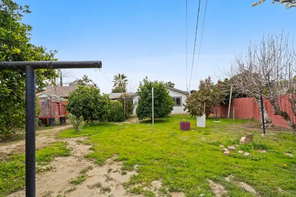a view of a garden with a tree