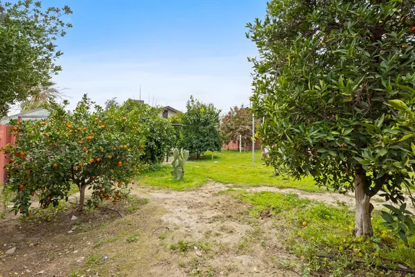 a view of yard with green space and trees