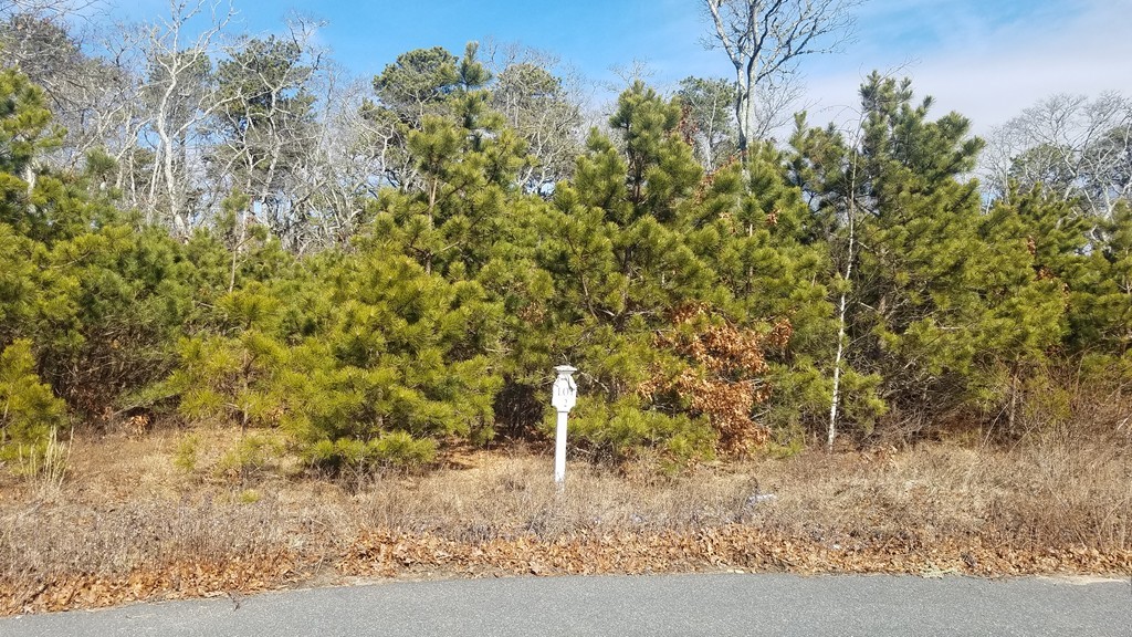11 Harbor Light Road Harwich, MA 02645 - Photo 1 of 4 Gallery Image 1