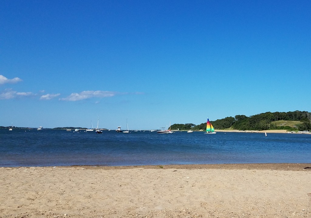 11 Harbor Light Road Harwich, MA 02645 - Photo 4 of 4 Gallery Image 4
