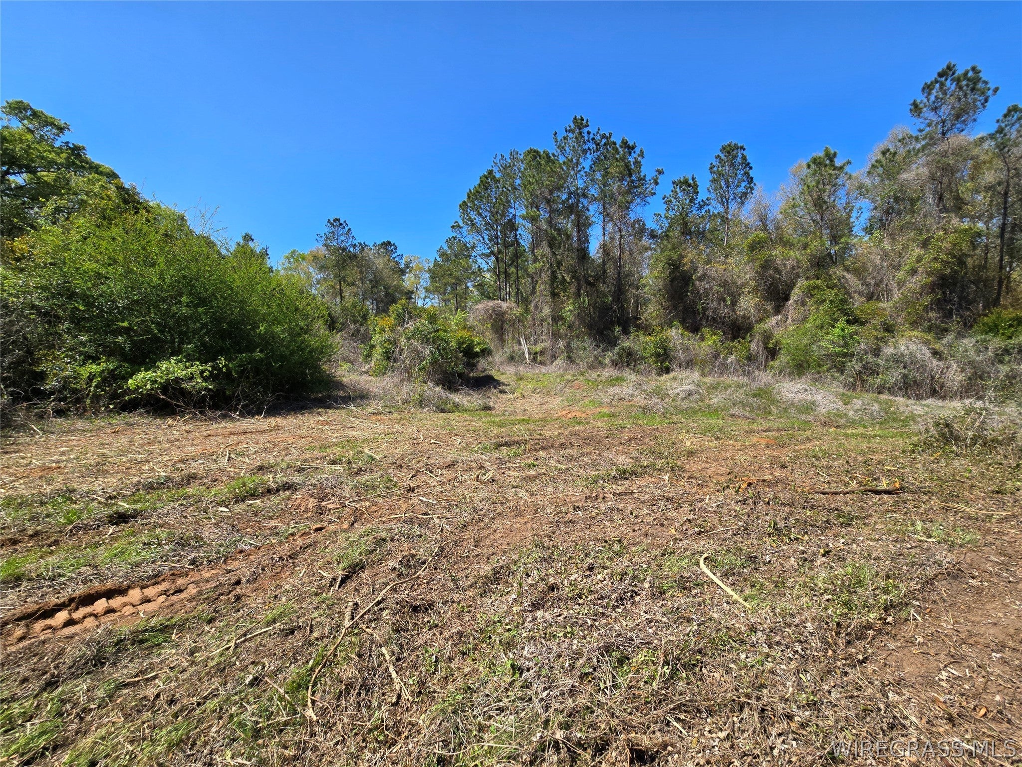 0 Will Logan Road Ozark, AL 36360 - Photo 30 of 44 Gallery Image 30