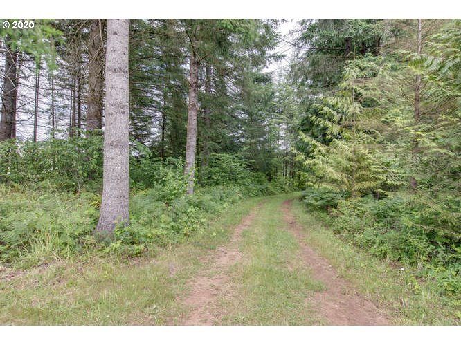 22228 South Lewellen Road Beavercreek, OR 97004 - Photo 26 of 32 Gallery Image 26