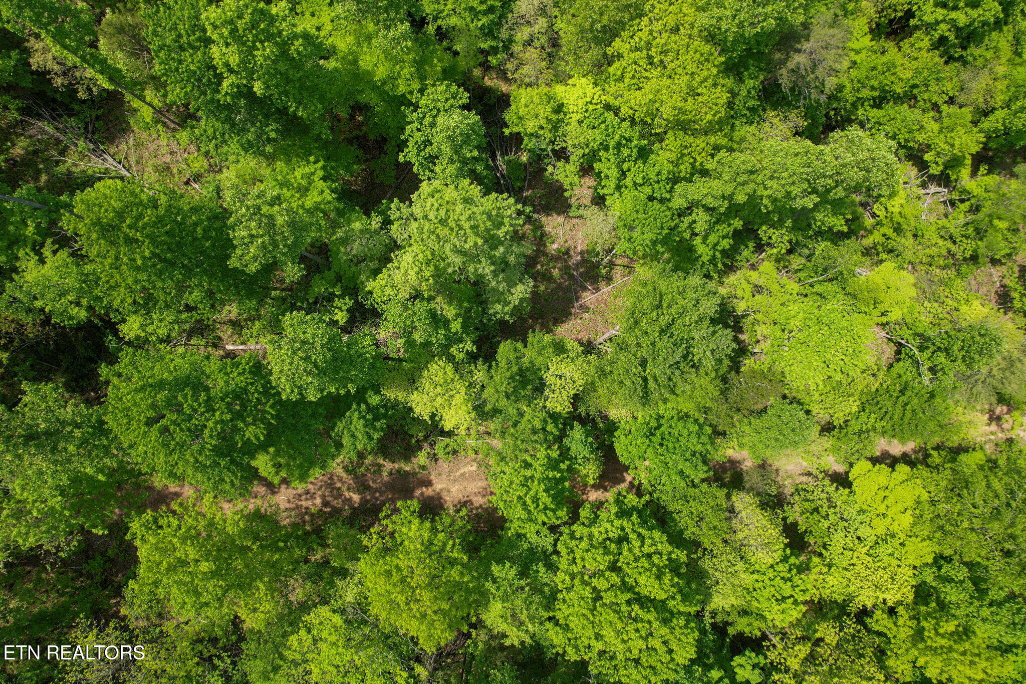 Cove Point Road La Follette, TN 37766 - Photo 11 of 39 10-web-or-mls-DJI_0053B