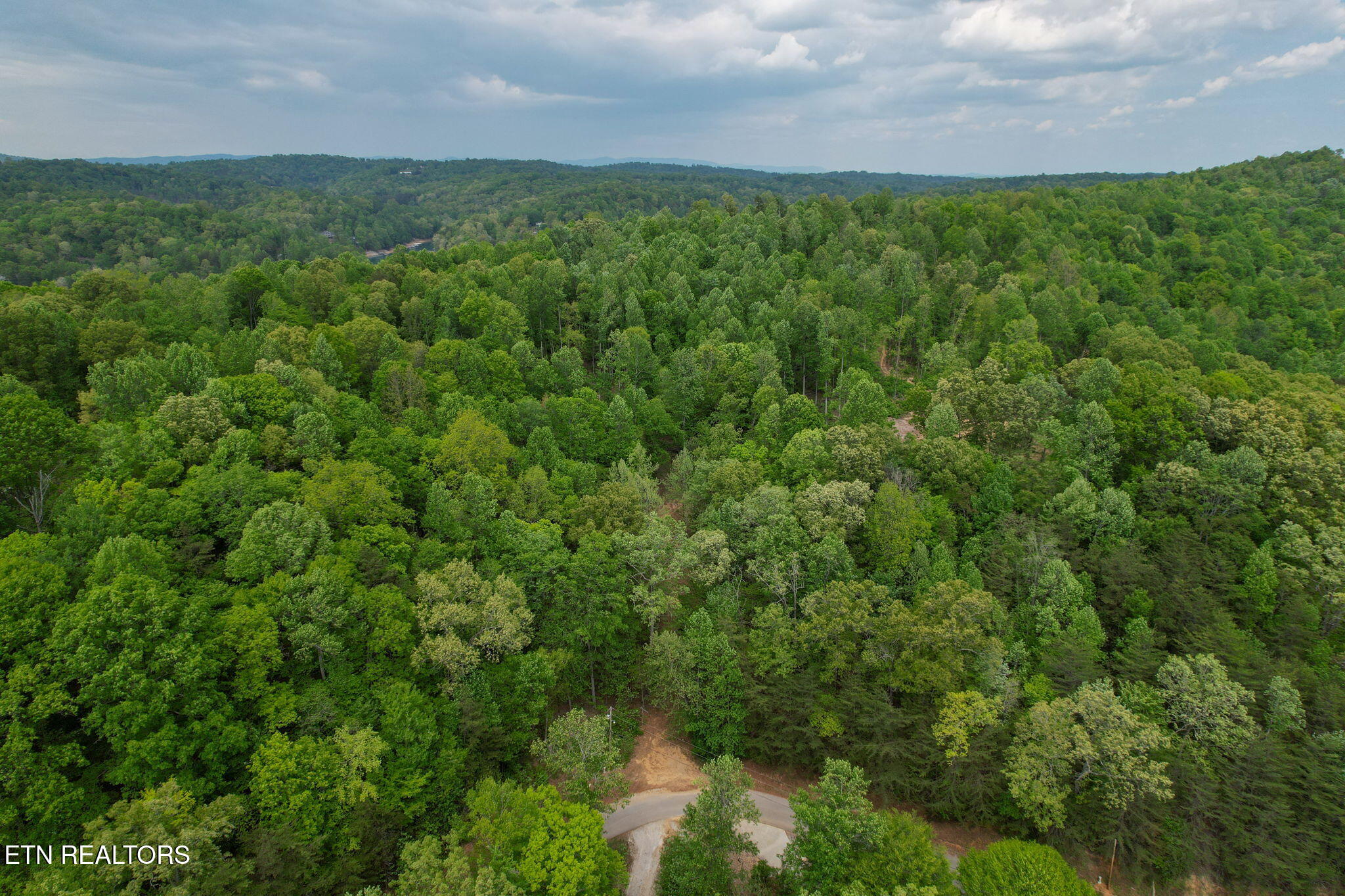 Cove Point Road La Follette, TN 37766 - Photo 16 of 39 16-web-or-mls-DJI_0114B