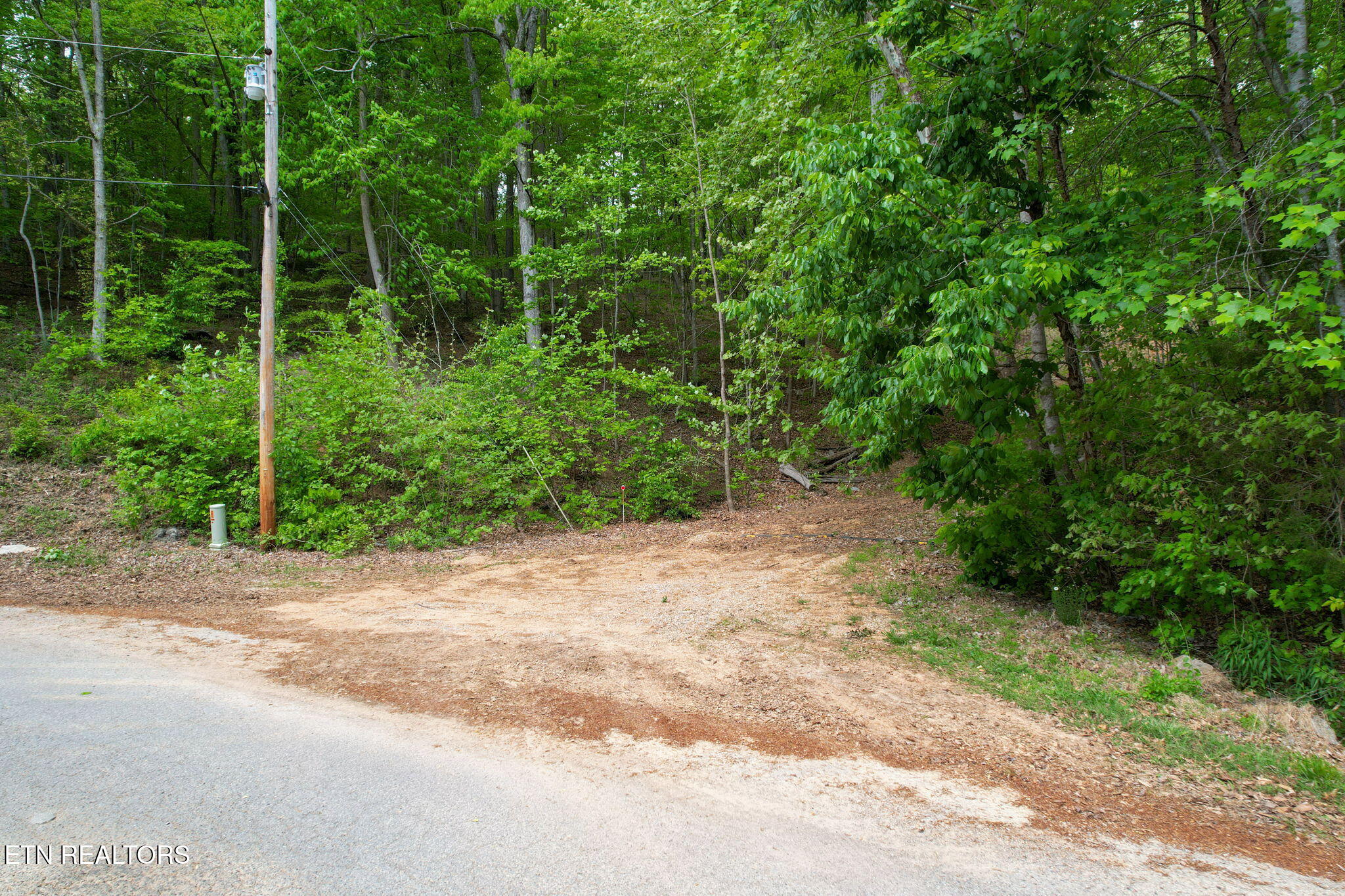 Cove Point Road La Follette, TN 37766 - Photo 17 of 39 17-web-or-mls-DJI_0119B