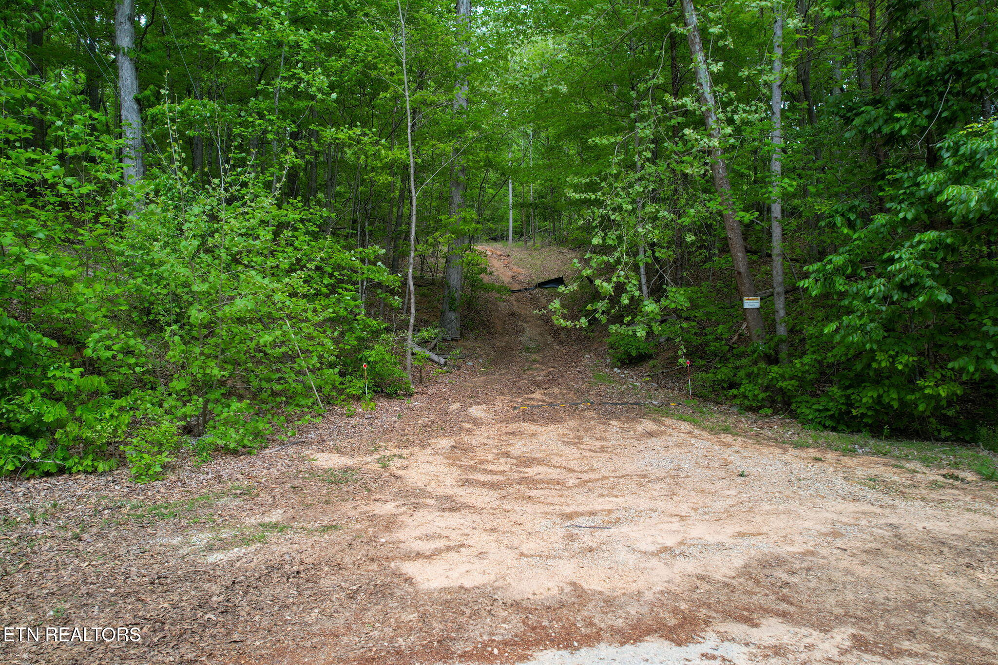Cove Point Road La Follette, TN 37766 - Photo 18 of 39 18-web-or-mls-DJI_0130B