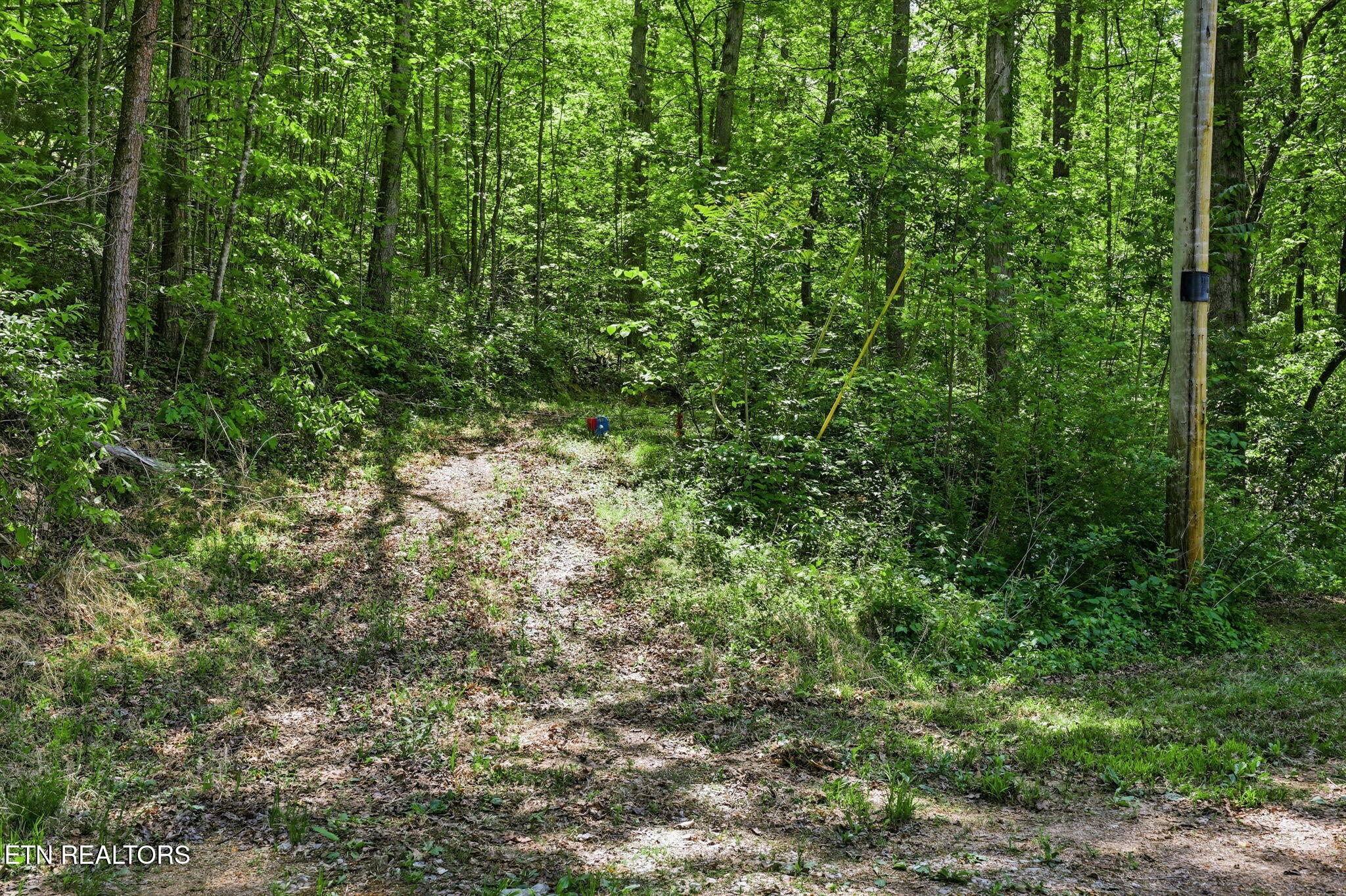 Cove Point Road La Follette, TN 37766 - Photo 19 of 39 19-web-or-mls-RS9_5892