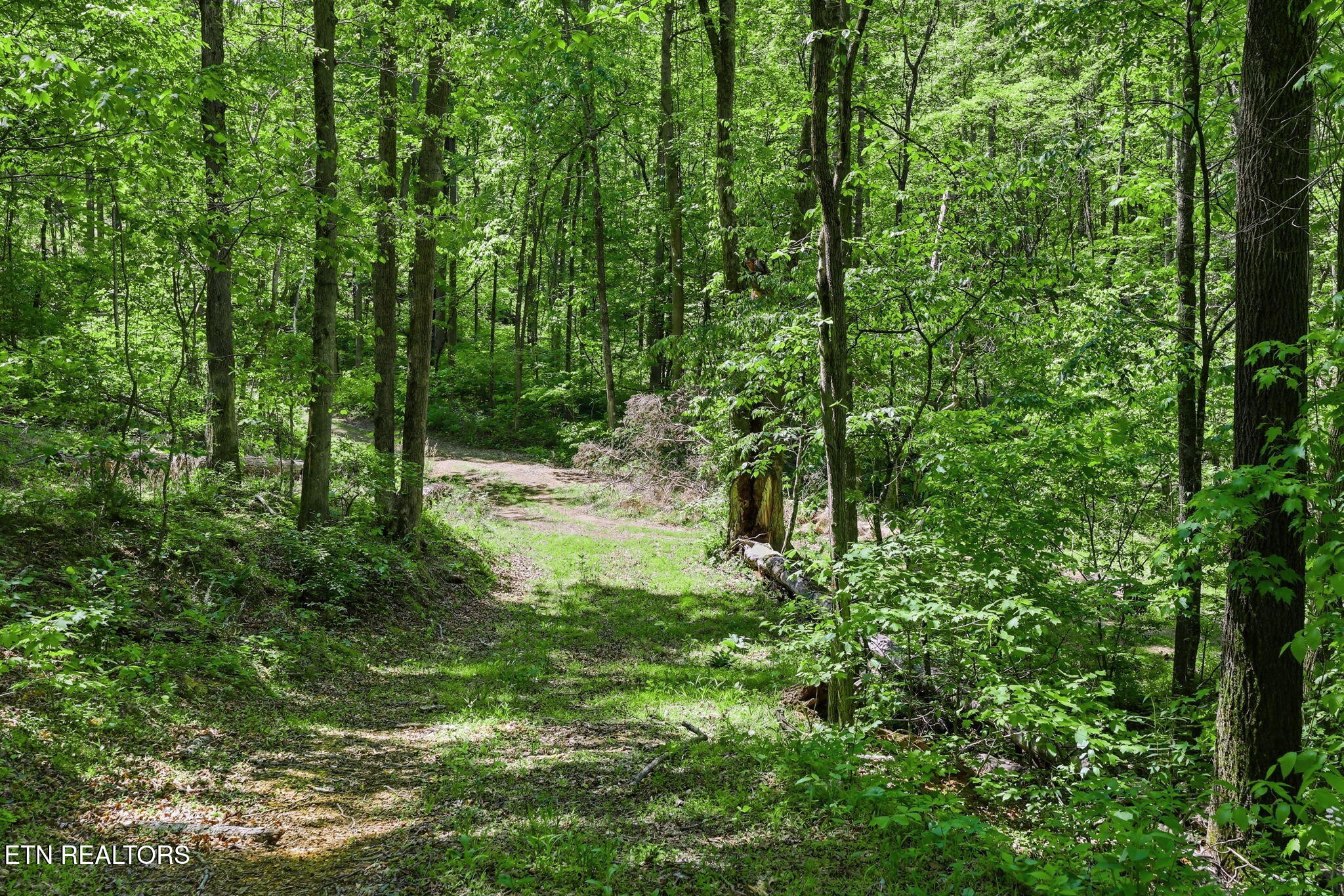 Cove Point Road La Follette, TN 37766 - Photo 20 of 39 20-web-or-mls-RS9_5895