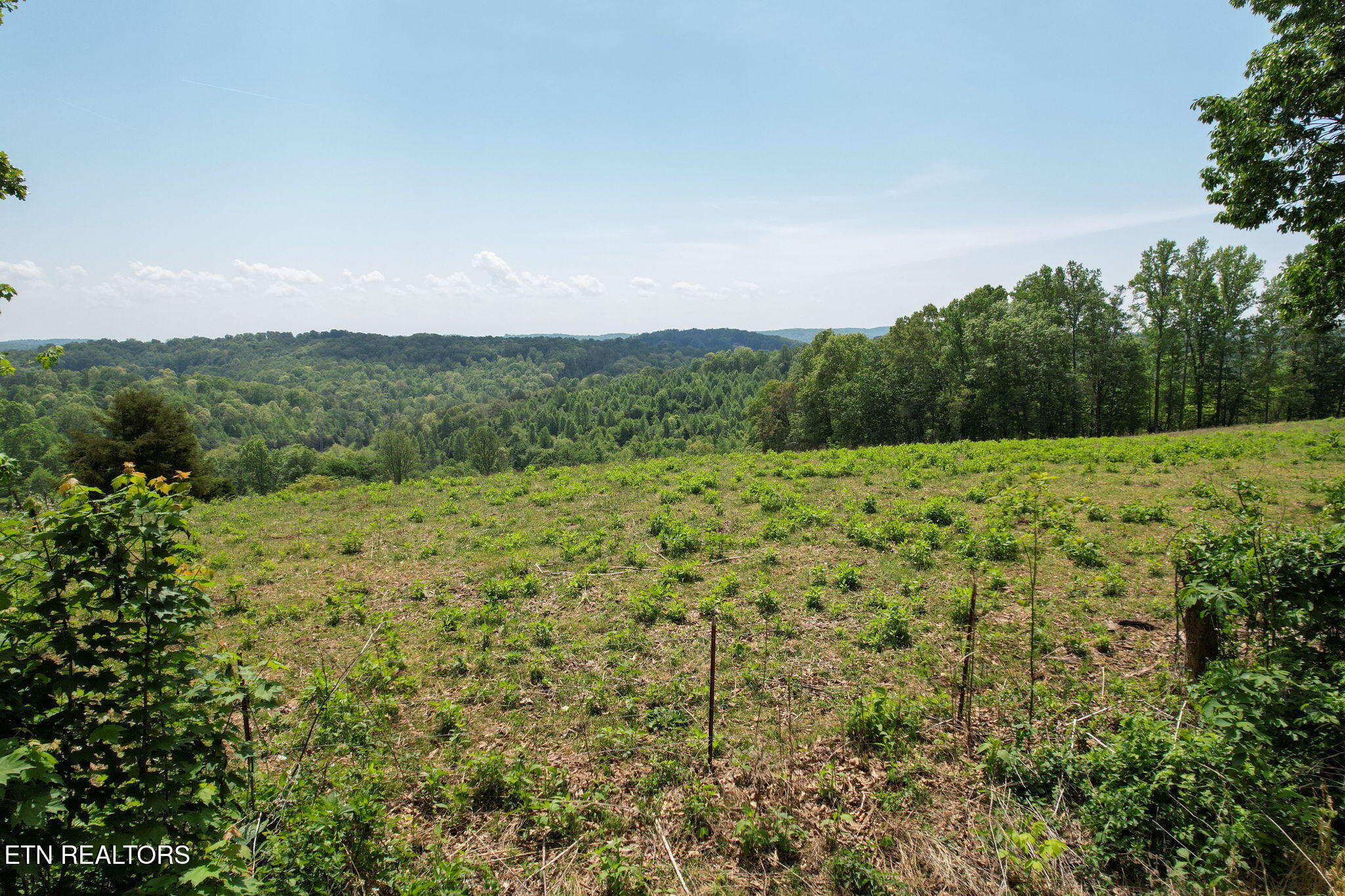 Cove Point Road La Follette, TN 37766 - Photo 2 of 39 1-web-or-mls-DJI_0001B