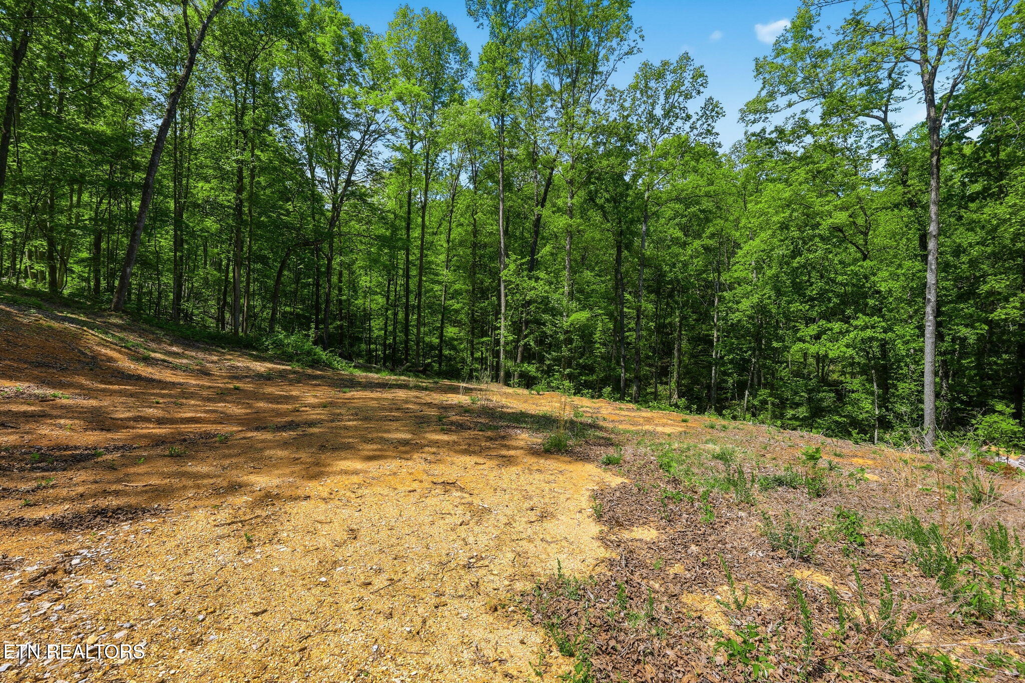Cove Point Road La Follette, TN 37766 - Photo 21 of 39 21-web-or-mls-RS9_5898B