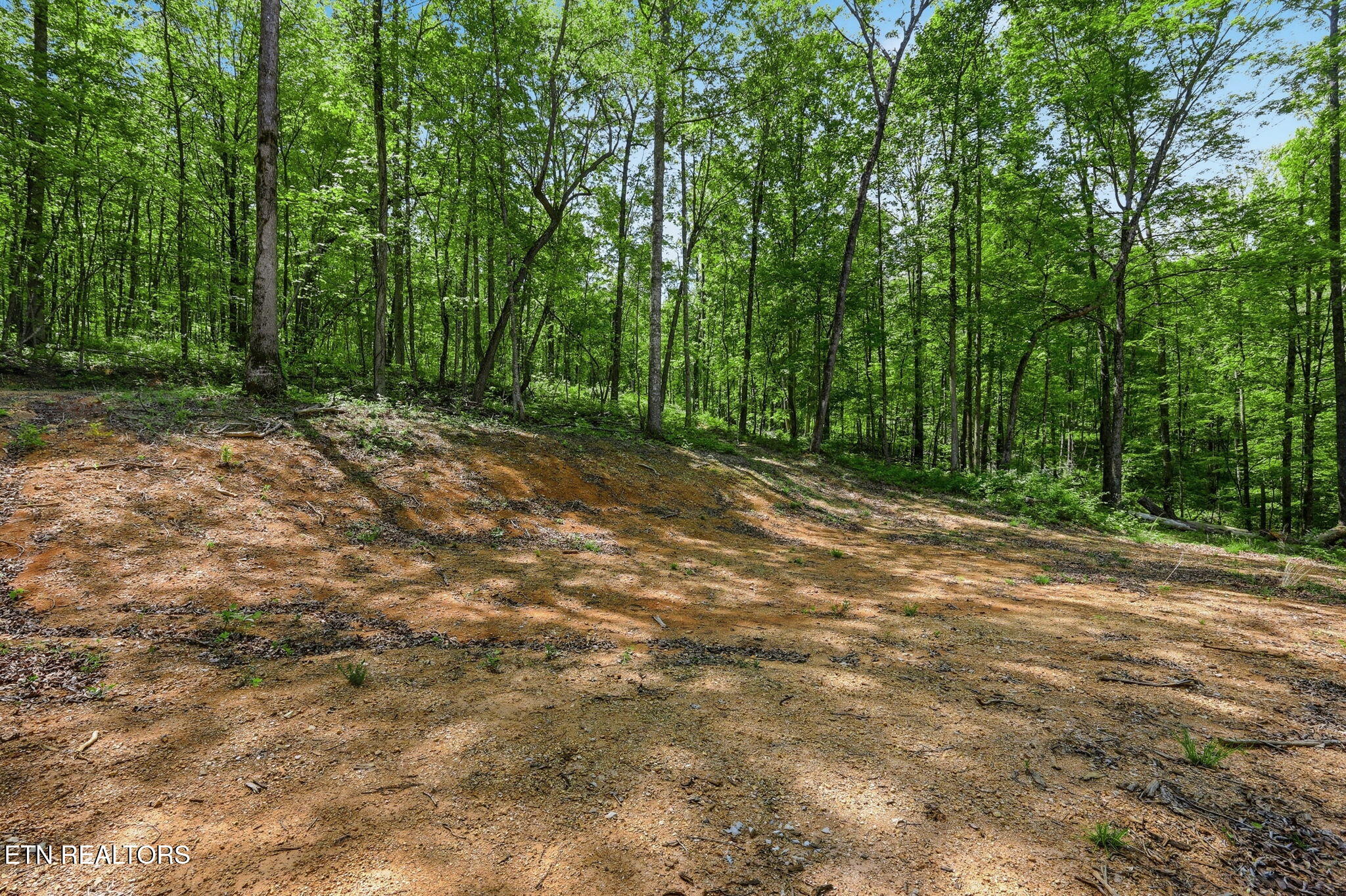Cove Point Road La Follette, TN 37766 - Photo 22 of 39 22-web-or-mls-RS9_5901